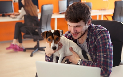 image for 5 tips for a positive Take Your Dog to Work Day